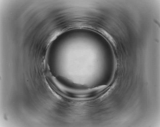 X0000096471385200801241419