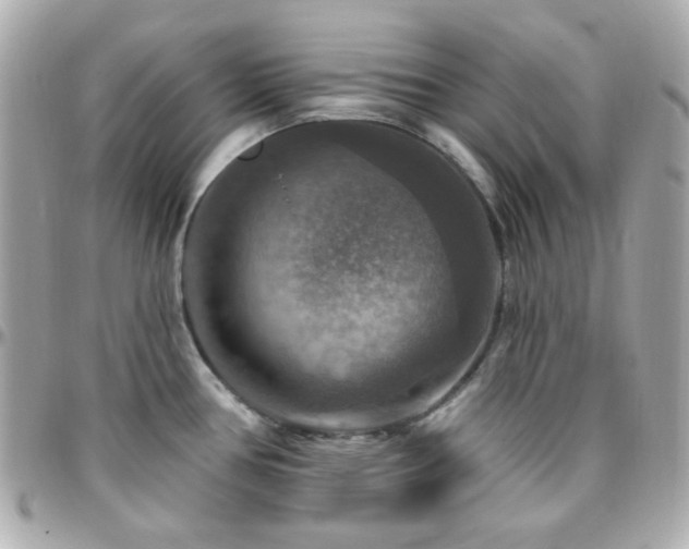 X0000096471386200801241419