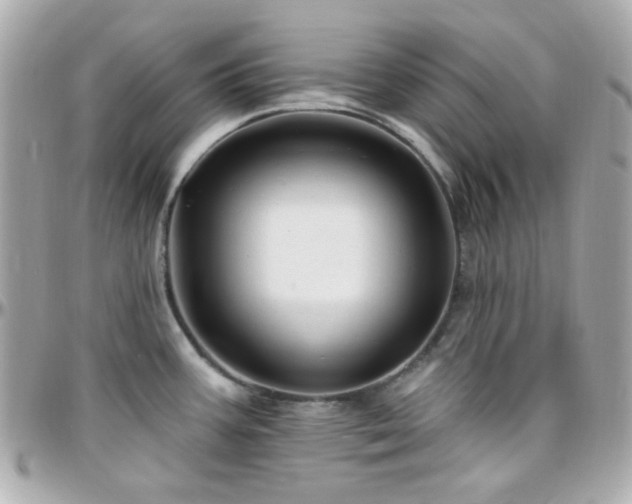 X0000096471387200801241419