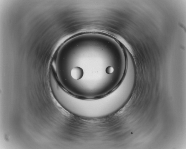 X0000096471388200801241419