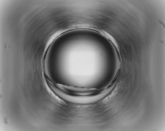 X0000096471389200801241419