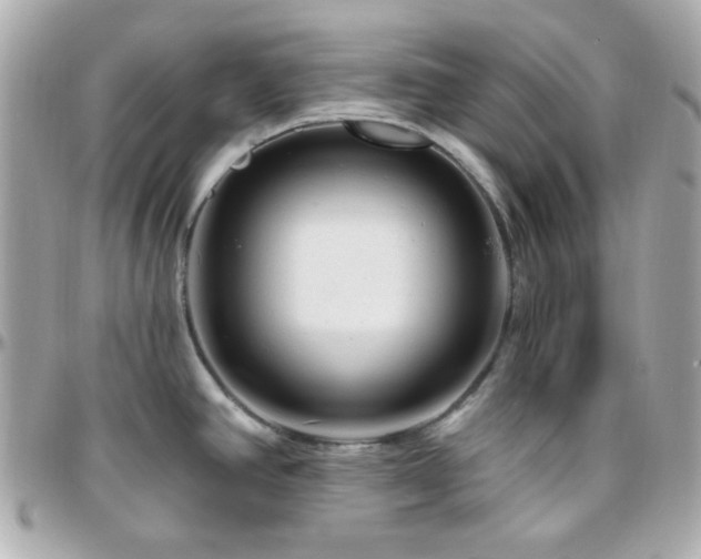 X0000096471390200801241419