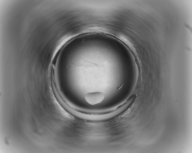 X0000096471392200801241419