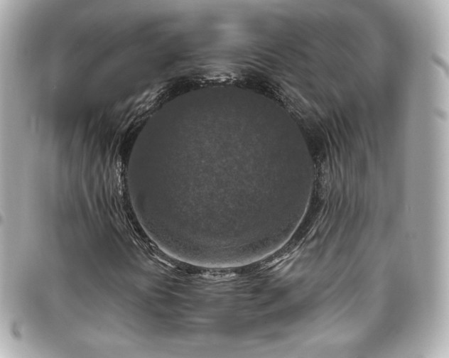 X0000096471394200801241418