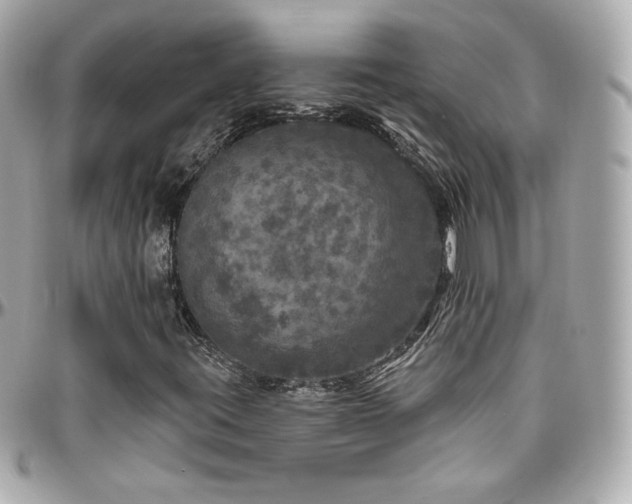 X0000096471395200801241418