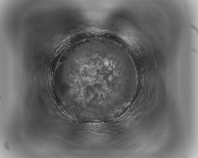 X0000096471397200801241418