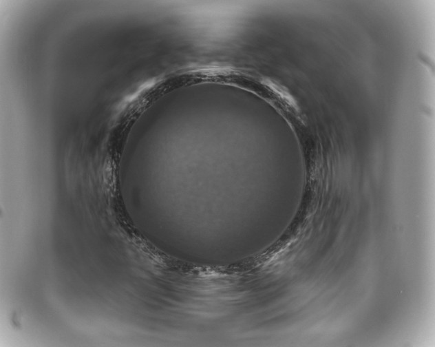 X0000096471398200801241418