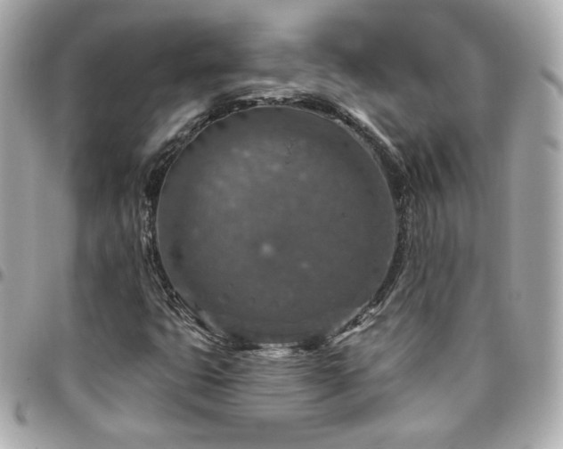 X0000096471399200801241418