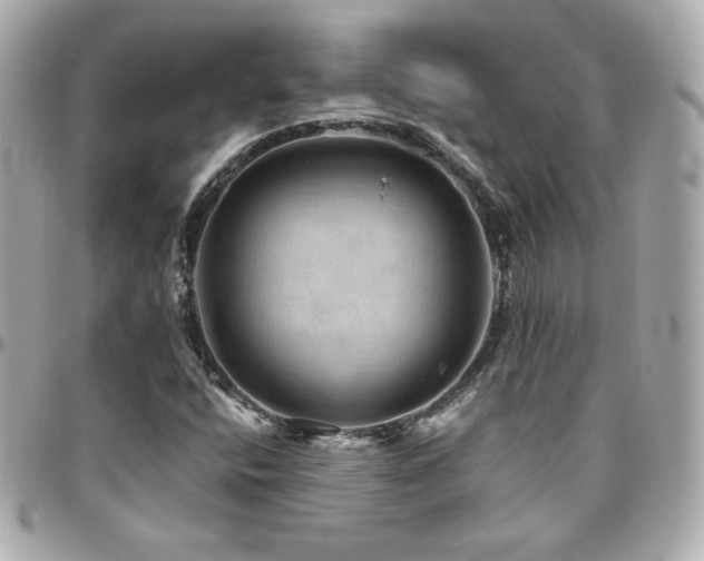 X0000096471400200801241418