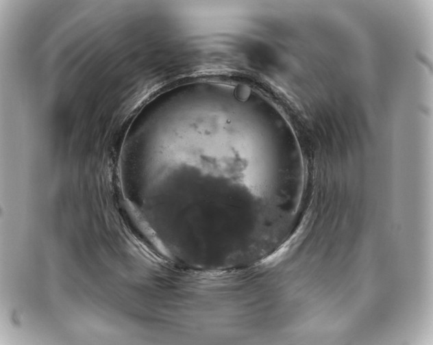 X0000096471401200801241418