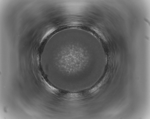 X0000096471402200801241418