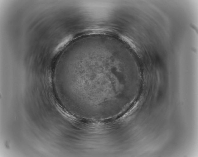 X0000096471403200801241418