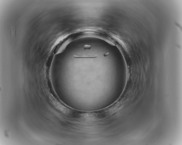 X0000096471404200801241418