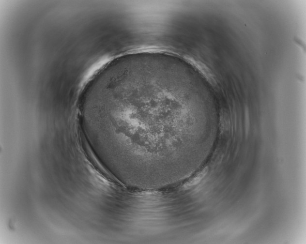 X0000096471406200801241418