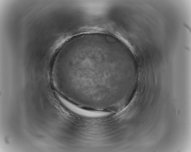 X0000096471407200801241418