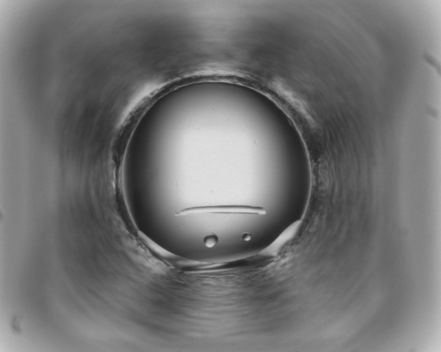 X0000096471408200801241418