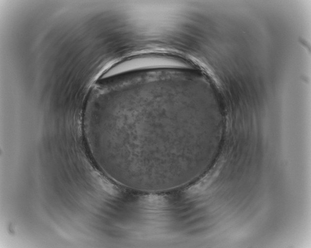 X0000096471409200801241418