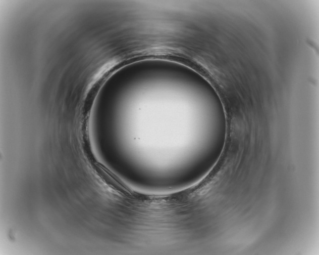 X0000096471410200801241418