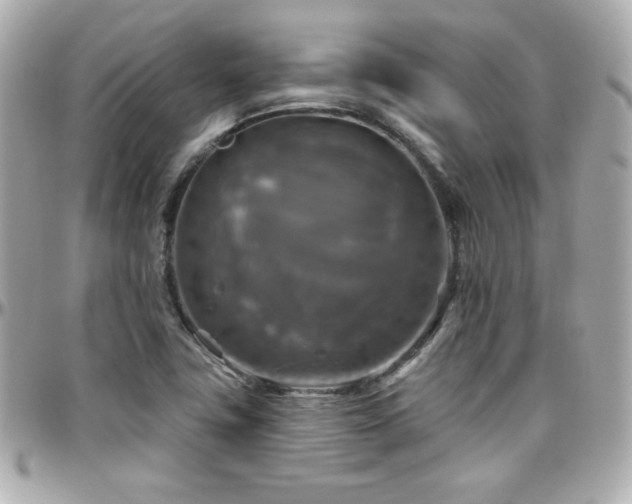 X0000096471411200801241418