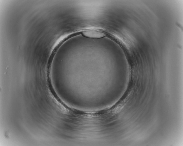 X0000096471412200801241418