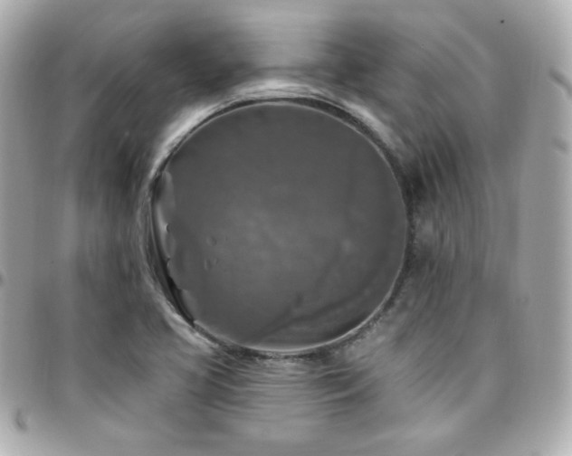 X0000096471413200801241418