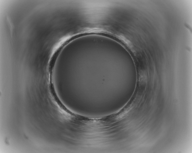 X0000096471414200801241419