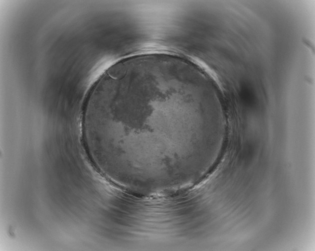 X0000096471415200801241419