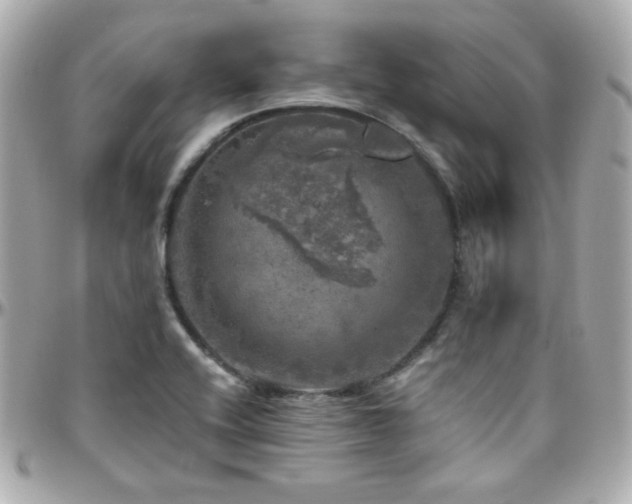 X0000096471416200801241419