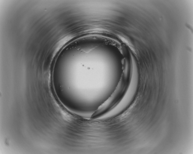 X0000096471418200801241419