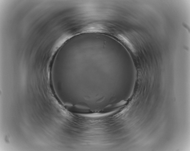 X0000096471419200801241419