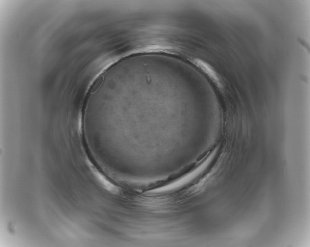 X0000096471420200801241419