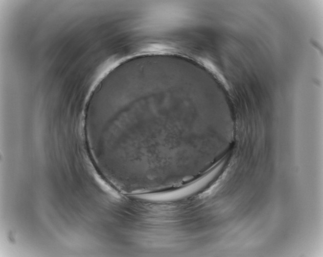 X0000096471421200801241419