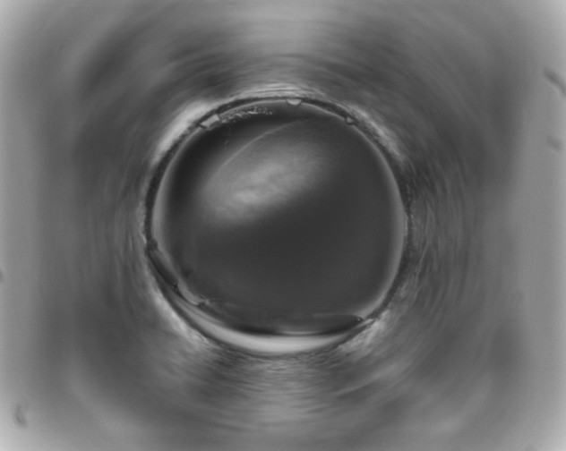 X0000096471422200801241419