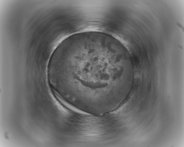 X0000096471423200801241419