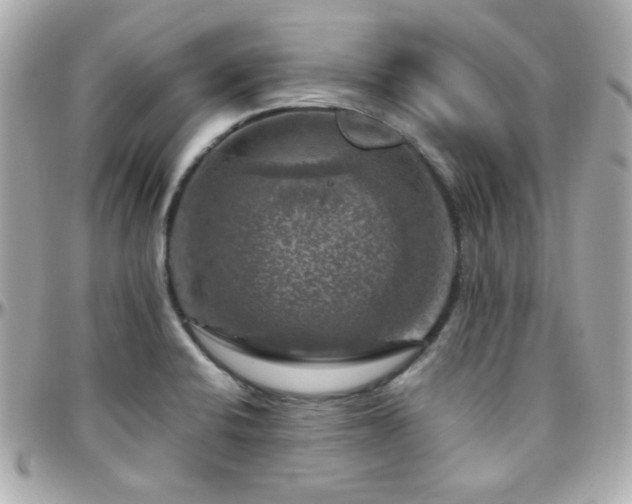 X0000096471424200801241419