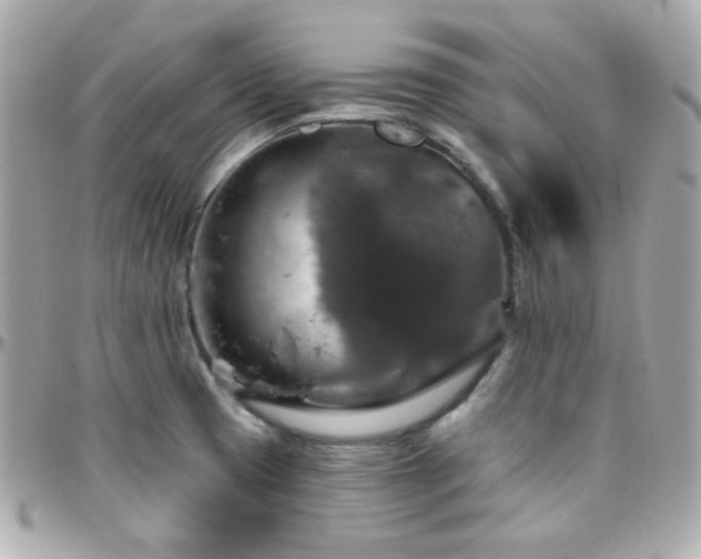 X0000096471425200801241419