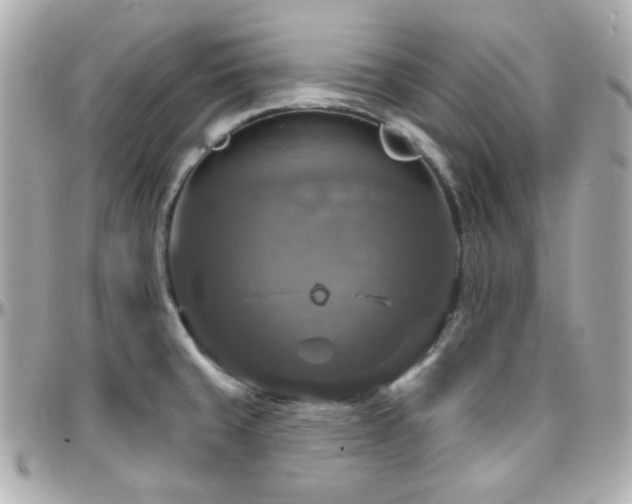 X0000096471429200801241419