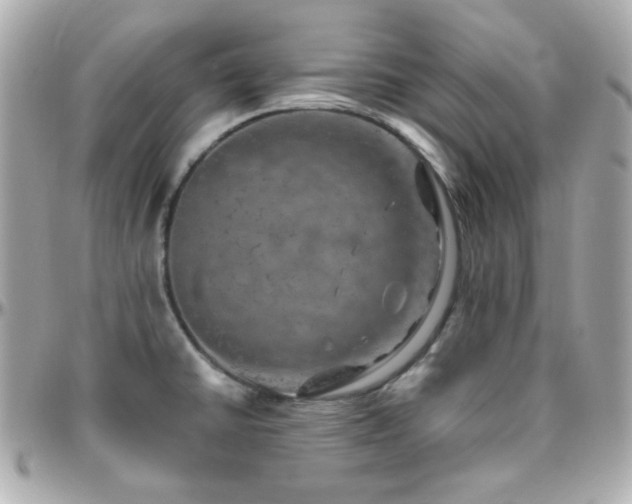 X0000096471430200801241419