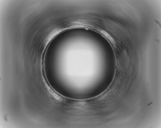 X0000096471431200801241419