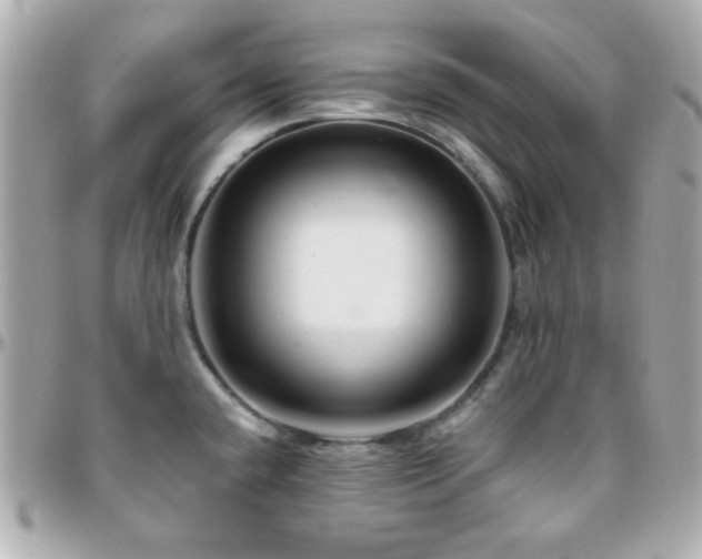 X0000096471432200801241419