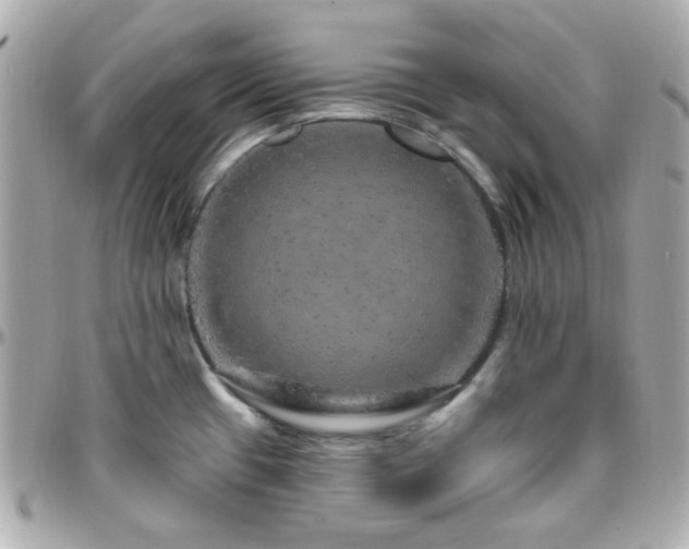 X0000096471433200801241419