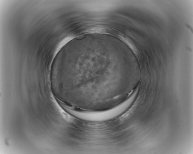 X0000096471434200801241419