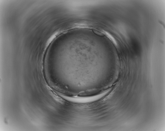 X0000096471435200801241419