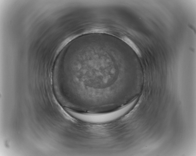 X0000096471436200801241419