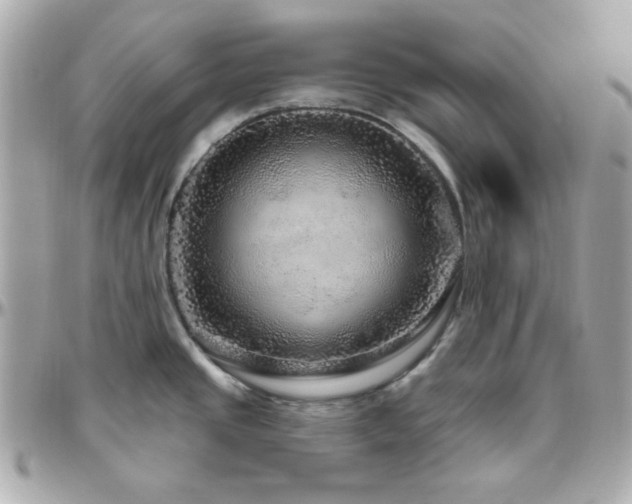 X0000096471437200801241419