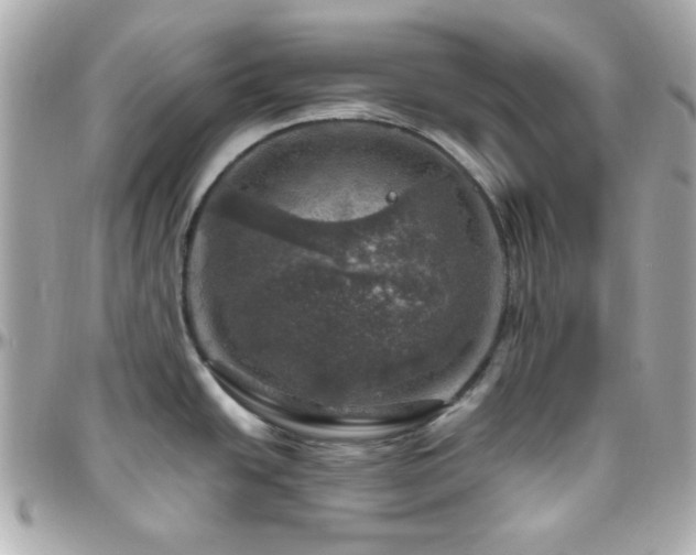 X0000096471438200801241419