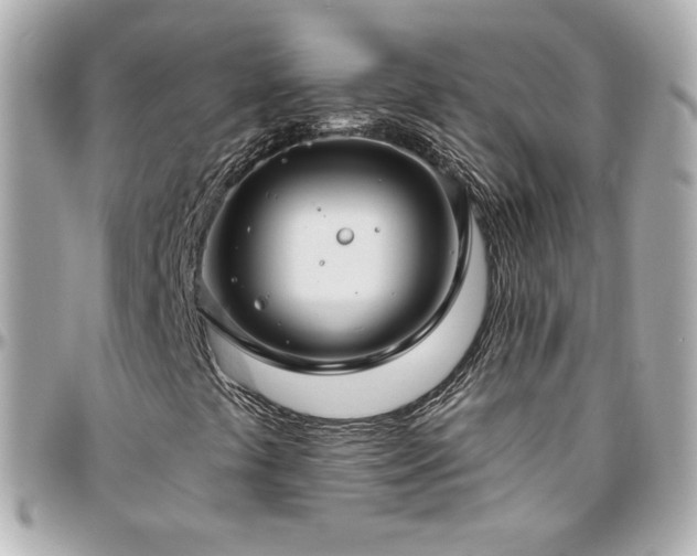 X0000096471441200801241418