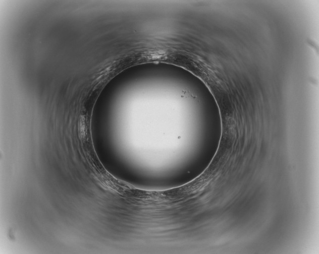 X0000096471442200801241418