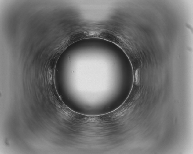 X0000096471443200801241418