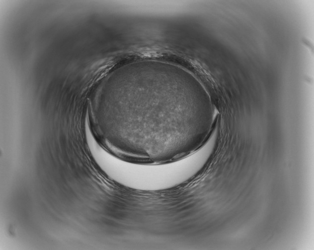 X0000096471444200801241418